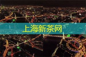爱上海：作为2010年上海世博会的主要场馆